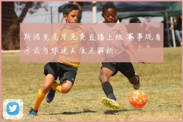 斯诺克虎牙免费直播上线 赛事观看方式与球迷关注点解析